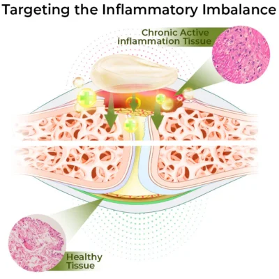 GFOUK™ CroCare Crocodile Oil Joint Therapy Balm