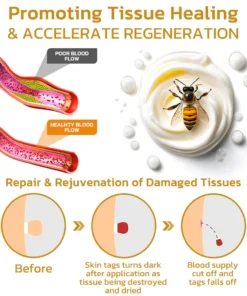 GFOUK™ TakeTag Bee Venom Therapy Cream
