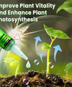 LIMETOW™ Botanical Revival Elixir