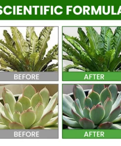 LIMETOW™ Botanical Revival Elixir