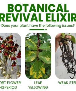 LIMETOW™ Botanical Revival Elixir