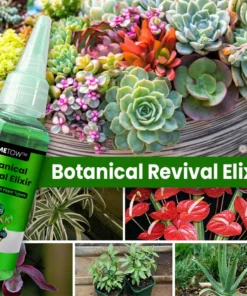 LIMETOW™ Botanical Revival Elixir