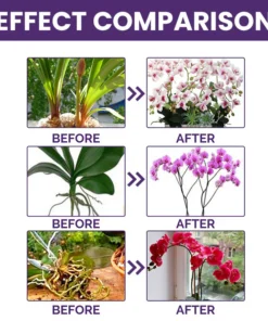 LIMETOW™ Orchid Plus Bloom Booster