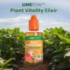 LIMETOW™ Rapid Rooting Liquid