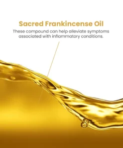 LanClare™ Mushroom Extract Rapid Immune Recovery