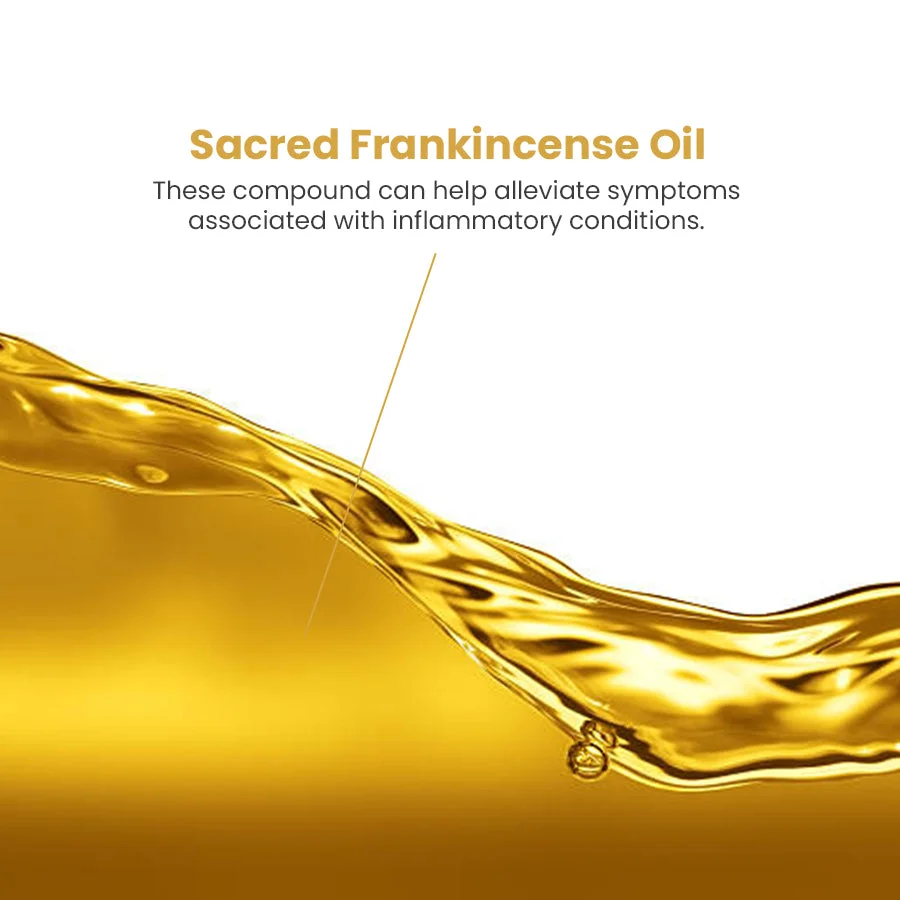 LanClare™ Mushroom Extract Rapid Immune Recovery