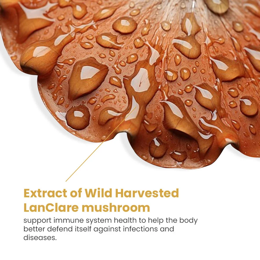 LanClare™ Mushroom Extract Rapid Immune Recovery
