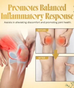 LanClare™ Mushroom Extract Rapid Immune Recovery