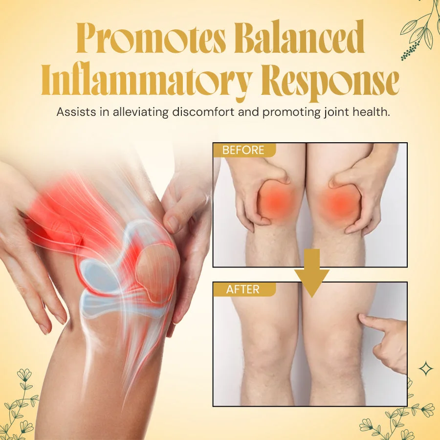 LanClare™ Mushroom Extract Rapid Immune Recovery