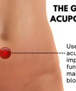 Nutravol™ Blood Pressure Support Cream