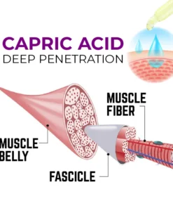 ORGADECO™ Hip Plump Capric Oil