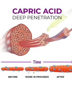 ORGADECO™ Hip Plump Capric Oil