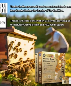 REFRLIFE™ Propolis Detox Slimming Patch