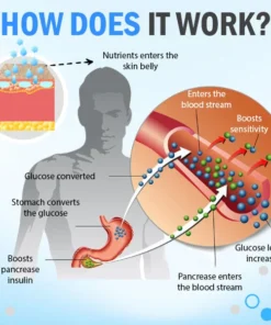 SEAGRIIL™Berberine HCl Sugar Down Drops