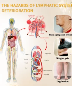 SEAGRIL™ Bee Venom Lymphatic Drainage Slimming Soap