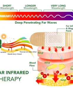Seurico™ Bee Venom FIR Detox Patch