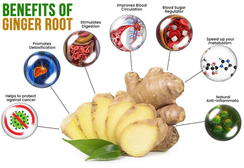 Seurico™ Lymphatic Healing Ginger Patch - Image 4