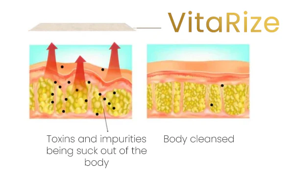 VitaRize™ Detox Foot Patch - Image 2