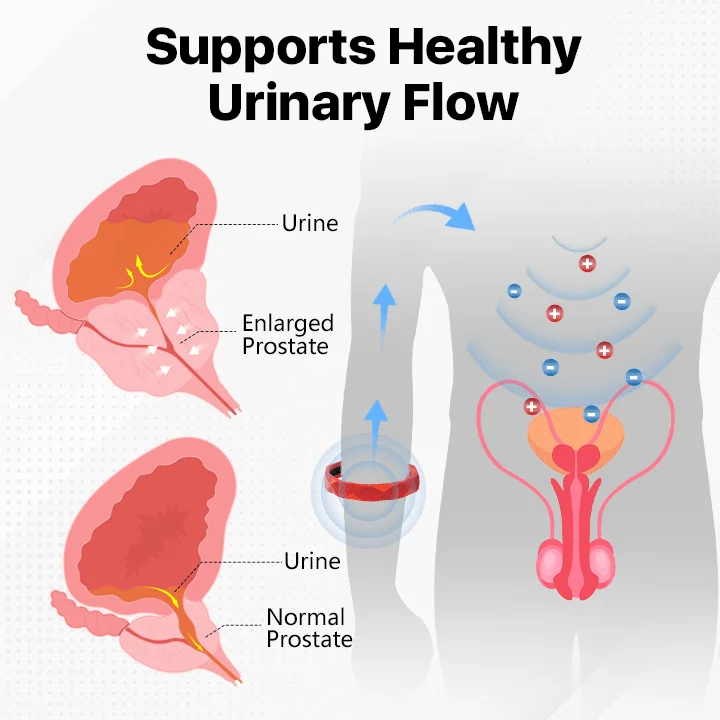 Biancat™ VitalMax Prostate Relief Band