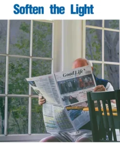 Heat Insulation Privacy Film