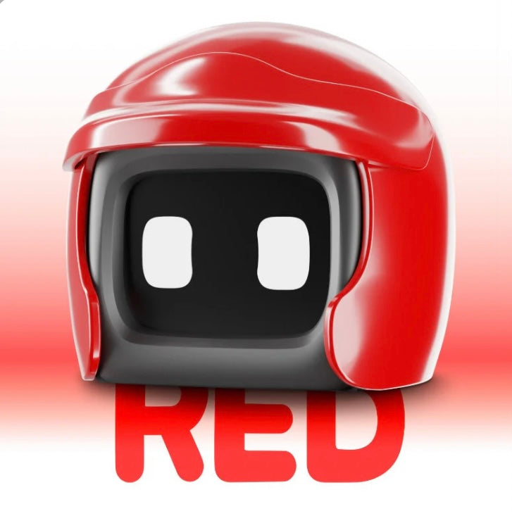 Poki Interactive Robot