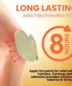 AEXZR™ Bee Venom Knee Joint Patches