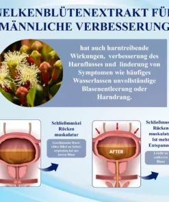 ATTDX™ Männergesundheits Verbesserungspflaster