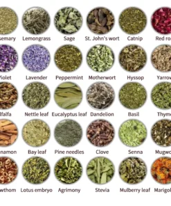 𝐎𝐲𝐢𝐤𝐞𝐲™ 𝐁𝐞𝐞 𝐕𝐞𝐧𝐨𝐦 & 𝐓𝐮𝐫𝐦𝐞𝐫𝐢𝐜 𝐀𝐫𝐭𝐡𝐫𝐢𝐭𝐢𝐬 𝐓𝐡𝐞𝐫𝐚𝐩𝐲 𝐂𝐫𝐞𝐚𝐦