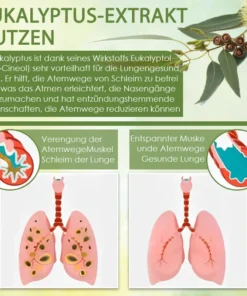 BreatheFree™ Kräuter LungenDetox Mundspray