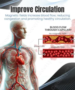 Ceoerty™ Prostaphere Prostate Care Band