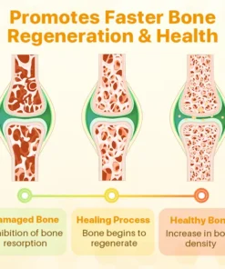 Fivfivgo™ BeeEase Gelenk-Therapie-Pflaster