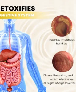 Fivfivgo™ CalmBelly Verdauungshilfe-Öl