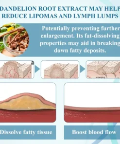 Fivfivgo™ LumpsClear Lymphstütze Roll-On