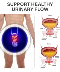 Miniyou™ TitaniumMag Prostata-Wellness-Armband