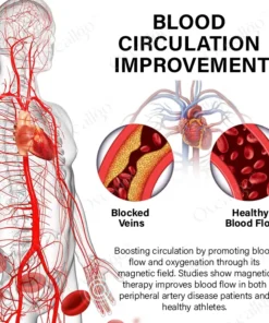 Oveallgo™ Magnetischer Wellness RevitaRing