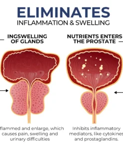 Oveallgo™ ProstaCore Titanium Healing Necklace