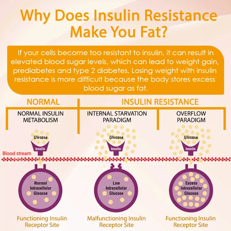 InsuBurn™ Fat Regulator BodyCream - Image 11