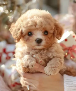 Alternative view of Nico - My Realistic Robot Puppy