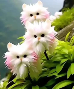 🇦🇺GFOUK™ Graines de fleurs éblouissantes🔥 Cultivez des fleurs exquises et accrocheuses