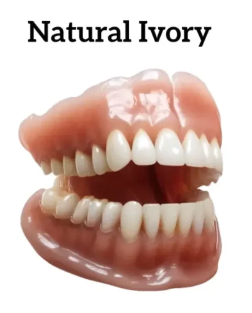𝐁𝐢𝐤𝐞𝐧𝐝𝐚® 𝐏𝐫𝐞𝐦𝐢𝐮𝐦 𝐃𝐞𝐧𝐭𝐮𝐫𝐞