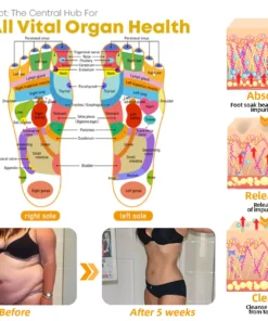 Hạt ngâm chân thảo dược Alisanda™ VenoDetox (Hạt massage chân thảo dược Alisanda™ Herbal VenoDetox)