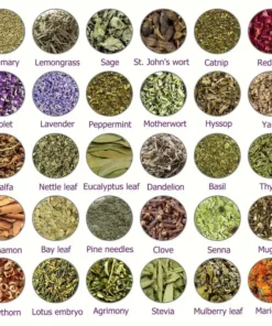 Hạt ngâm chân thảo dược Alisanda™ VenoDetox (Hạt massage chân thảo dược Alisanda™ Herbal VenoDetox)