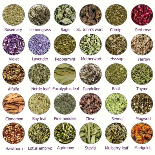 Hạt ngâm chân thảo dược Alisanda™ VenoDetox (Hạt massage chân thảo dược Alisanda™ Herbal VenoDetox)