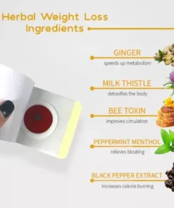 LOVILDS™Patch Pelangsing Detoks Herbal Alami