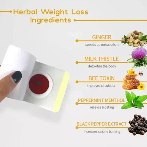 LOVILDS™Patch Pelangsing Detoks Herbal Alami