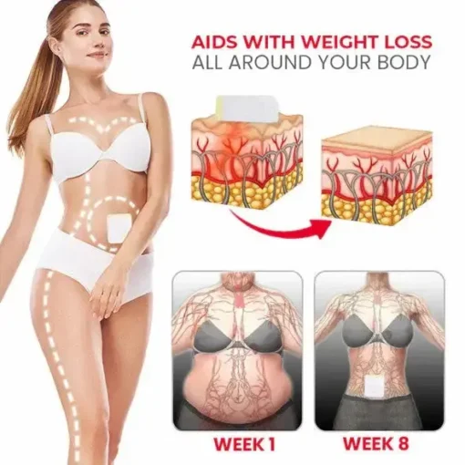 LOVILDS™Patch Pelangsing Detoks Herbal Alami
