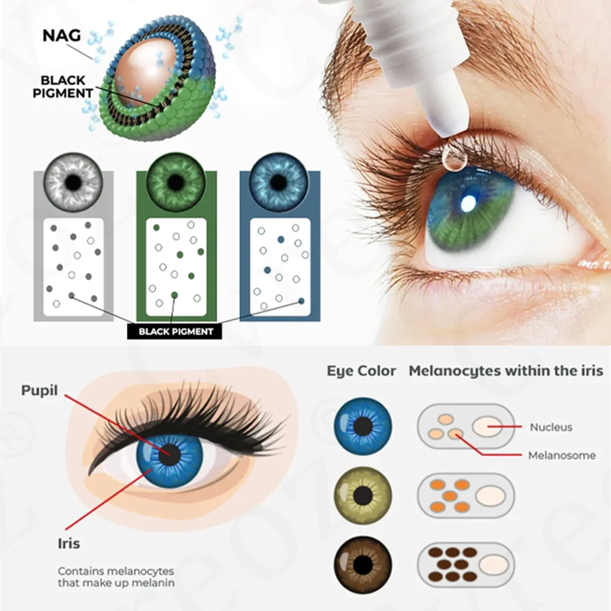 Cvreoz® EyeCandy Drops