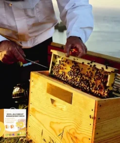 Newyuo™ 𝑹𝒐𝒚𝒂𝒍 𝑱𝒆𝒍𝒍𝒚 𝑩𝒓𝒆𝒂𝒔𝒕 𝑬𝒏𝒉𝒂𝒏𝒄𝒆𝒎𝒆𝒏𝒕 𝑷𝒂𝒕𝒄𝒉