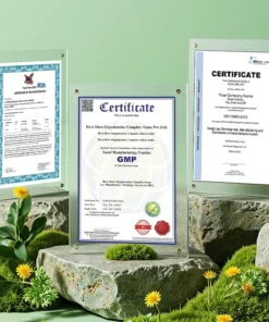 Timilk® Pulmovia Quercetin Lungenentgiftungs-Inhalator