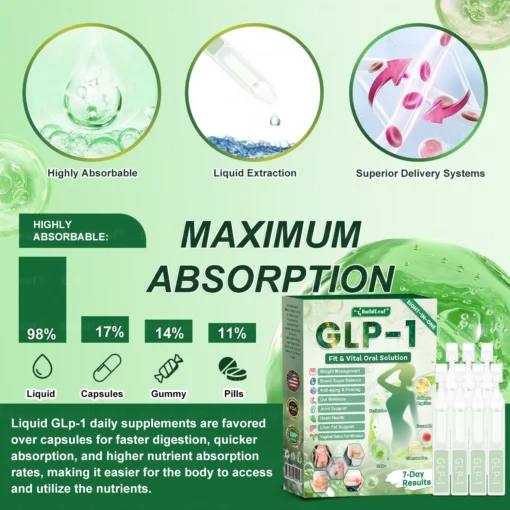 glp 1 moringa drops GLP-1 Moringa Advanced Drops Organic Support for Gut Health & Energy Levels  30ml 1 Fl Oz 2 PCS